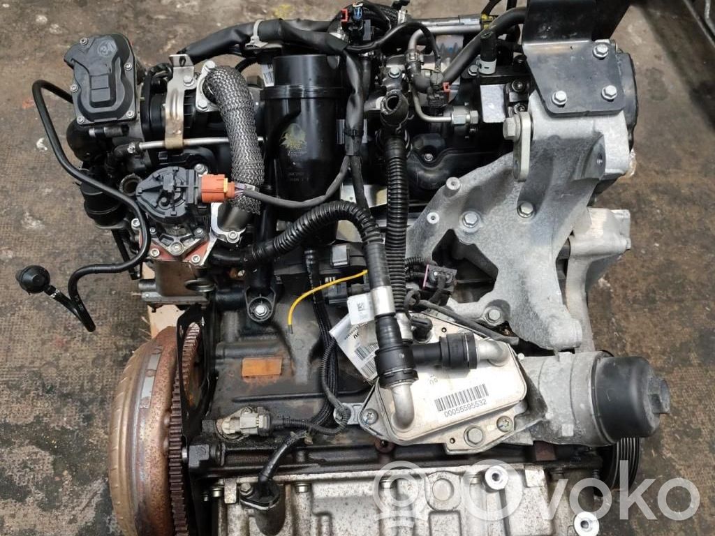 Motor   55595200