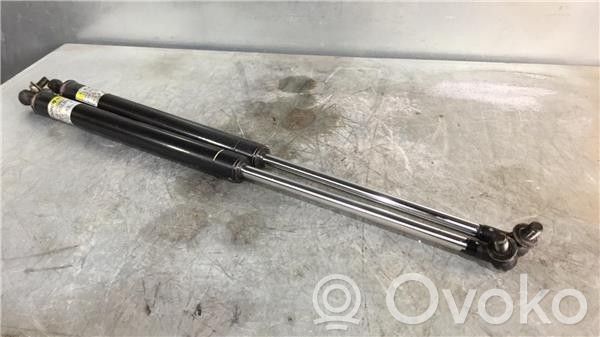 Tailgate/trunk strut/damper   963061579