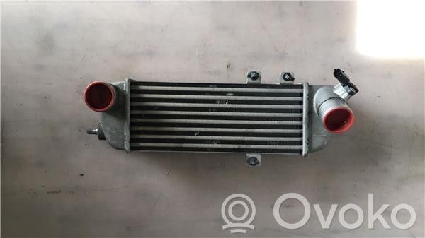 Intercooler radiator   282702A610,6039515