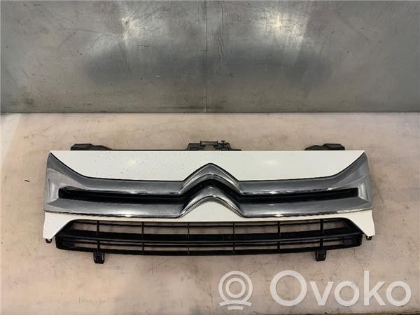 Citroen Jumpy Fender grill 