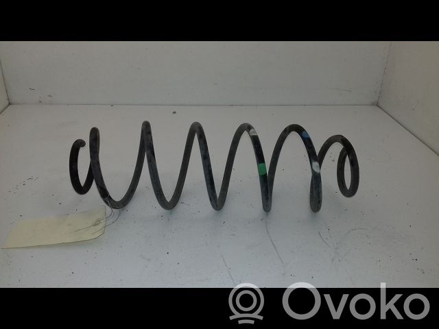 Rear coil spring   5102CT