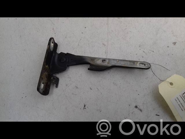 Dacia Logan II Balamale capotă 