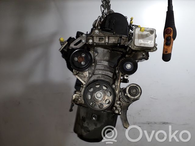 Volkswagen Polo V 6R Variklis 