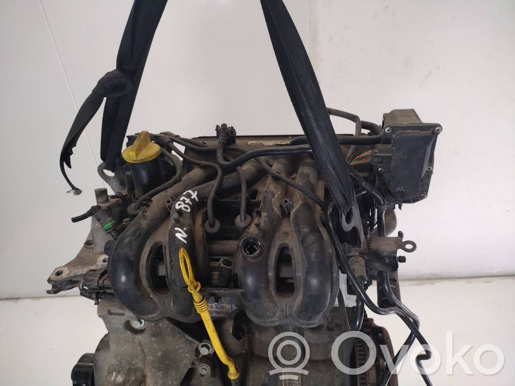 Motor   D7F800,D7F800