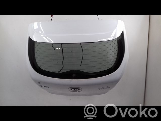 Tailgate/trunk/boot lid   737001H300