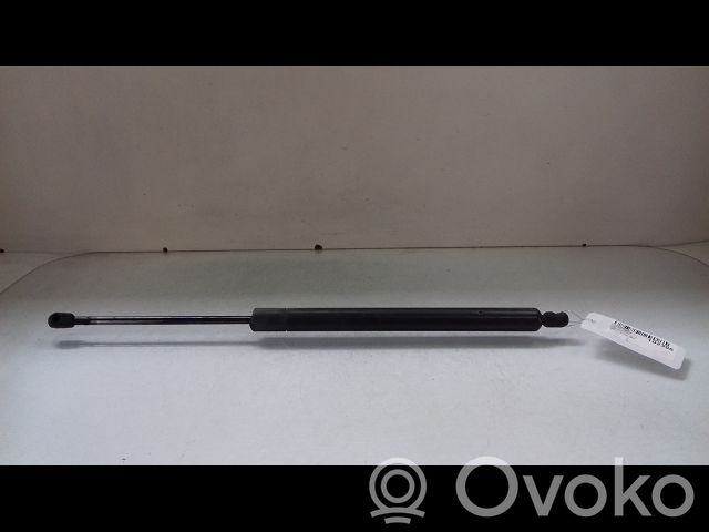 Tailgate/trunk strut/damper   1094814