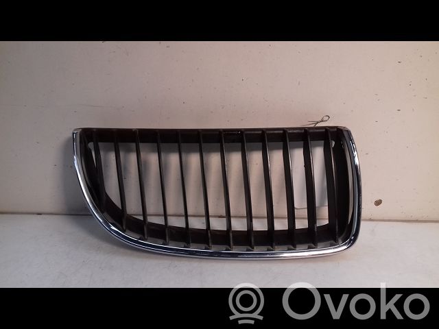Kühlergrill   51137120008