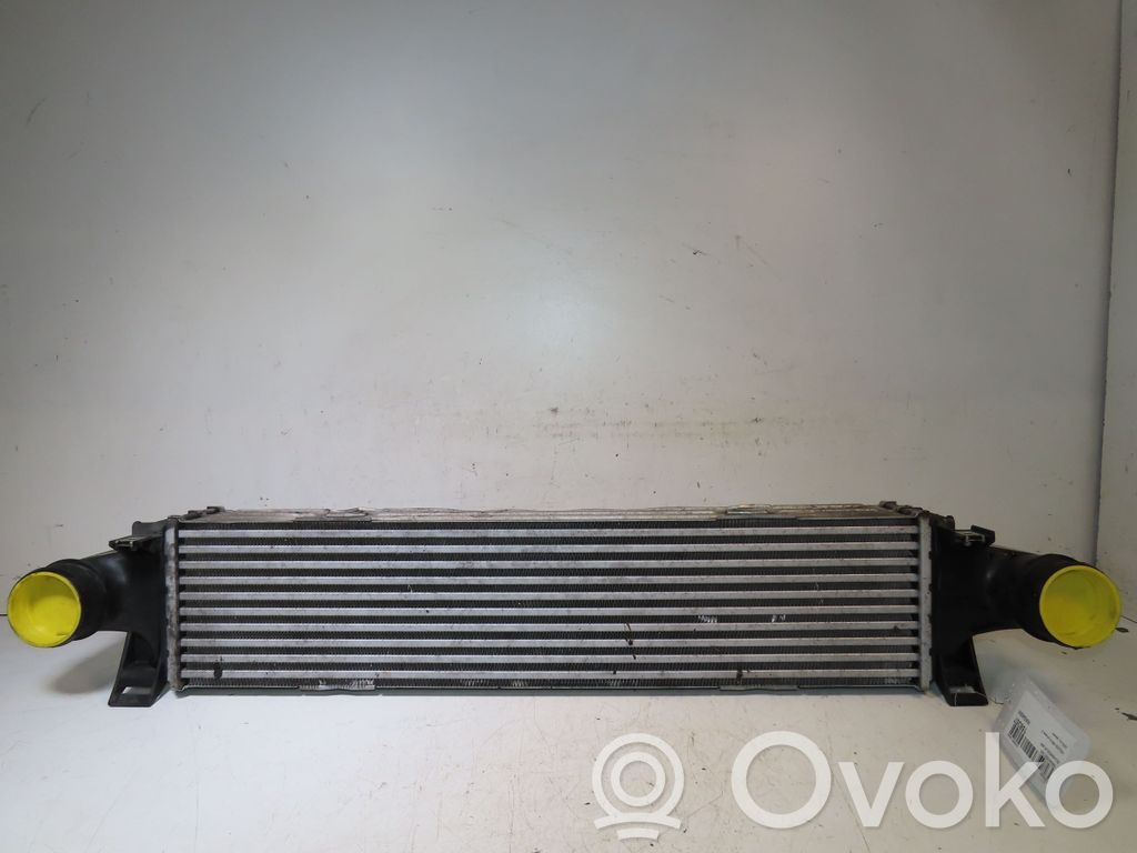 Intercooler radiator   31474506