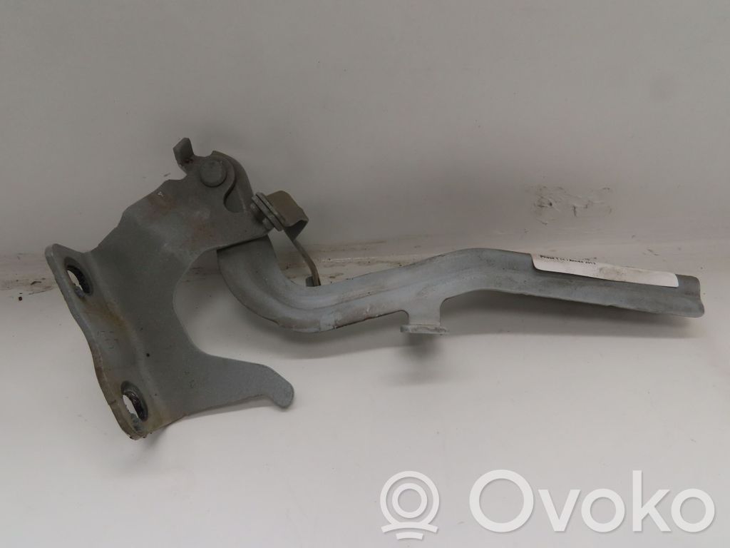 Nissan Juke I F15 Balamale capotă 