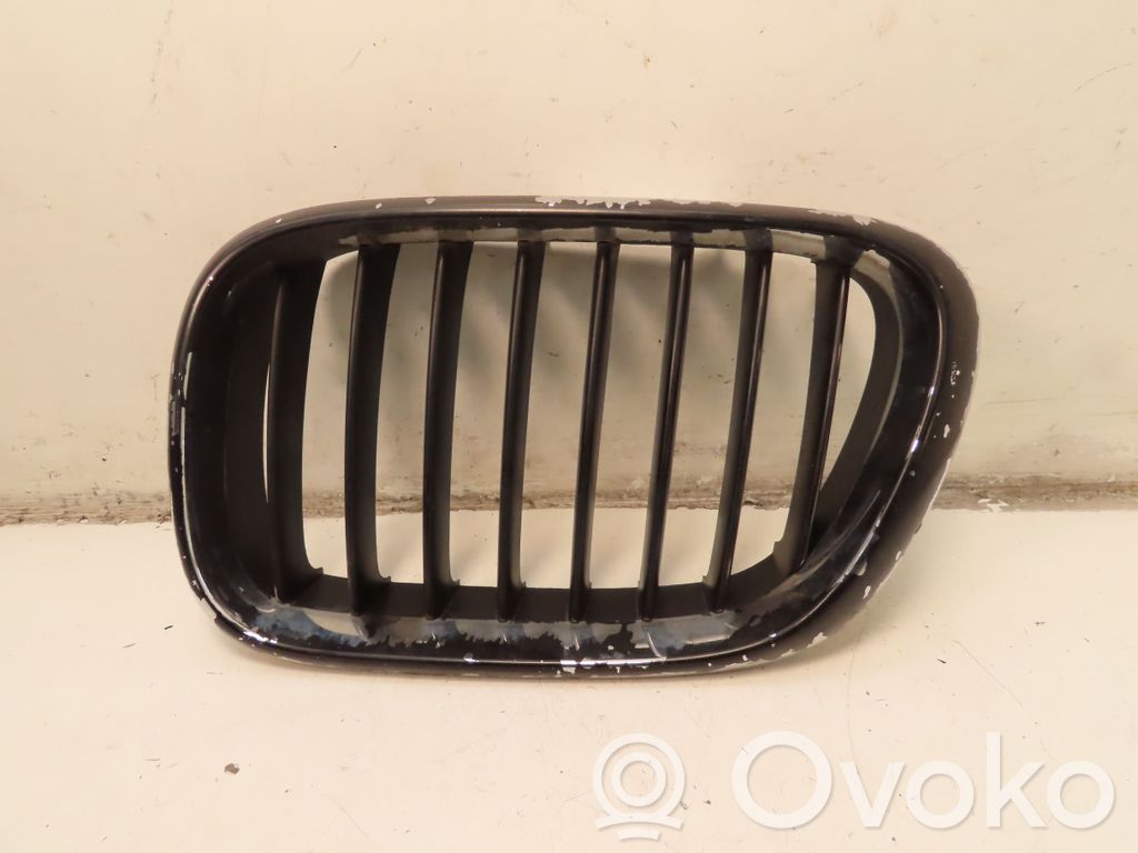 BMW X5 E53 Front grill 