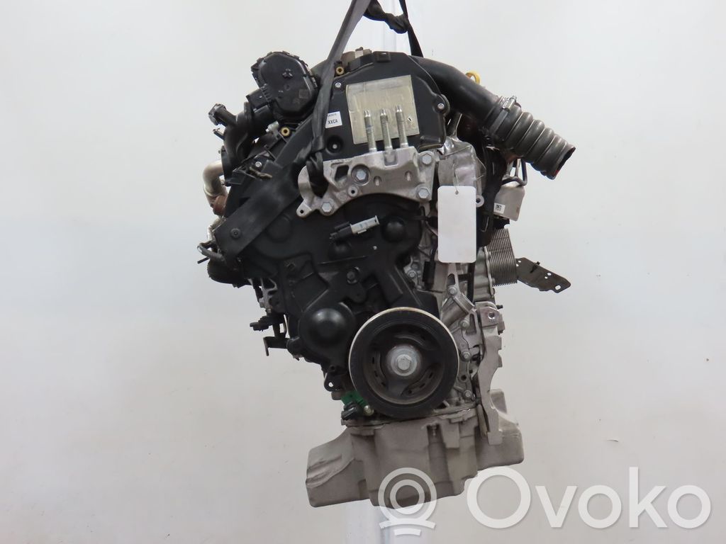 Variklis   2433073