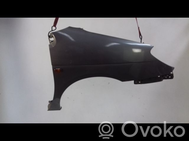 Renault Scenic I Guardabarro 