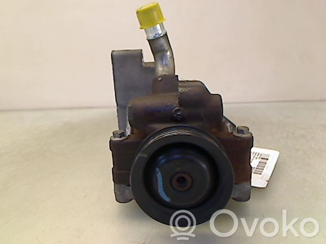 Power steering pump   DE9132600C