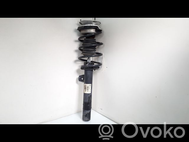 Front shock absorber/damper   31316796155