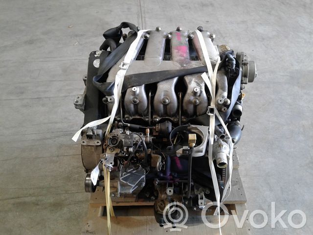 Variklis   7701468633