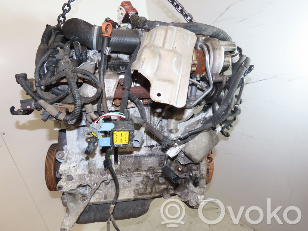 Variklis   135RP