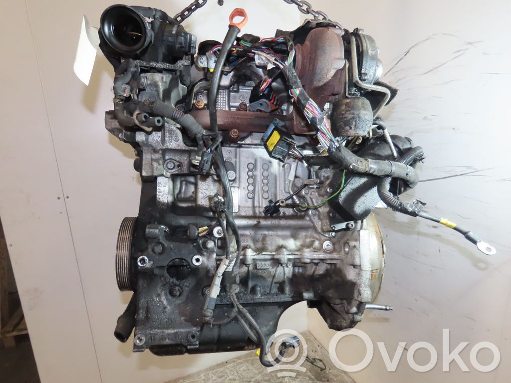 Variklis   135QE