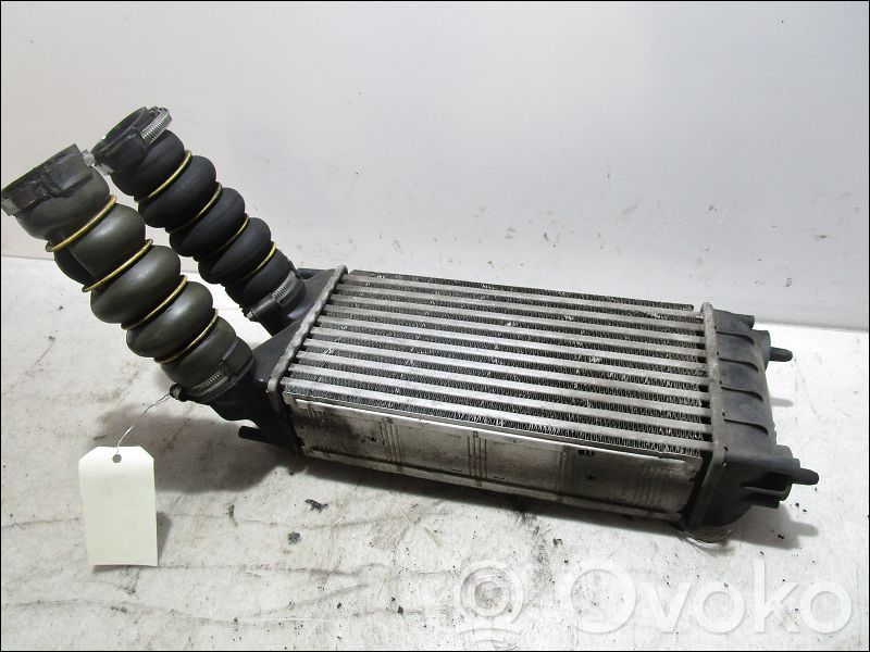 Interkūlerio radiatorius   384N9