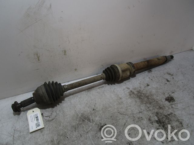 Priekšējā pusass   1697490