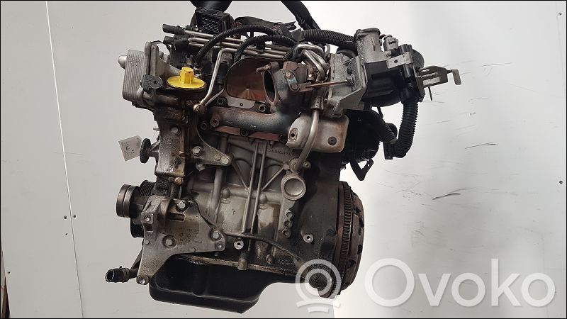 Variklis   3F100091A