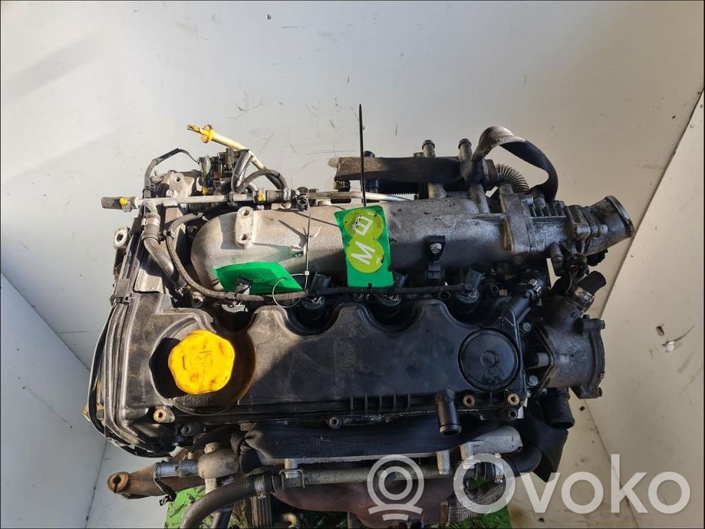 Engine   71738904