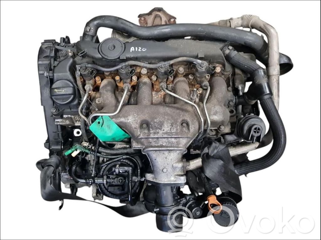 Motor   00000135GR