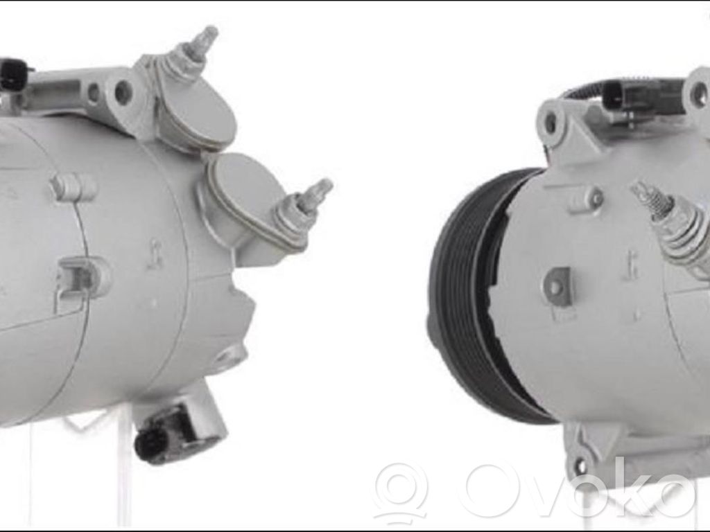 Air conditioning (A/C) compressor (pump)   2480053
