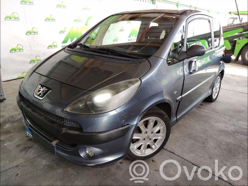 Peugeot 1007 Generatorius 