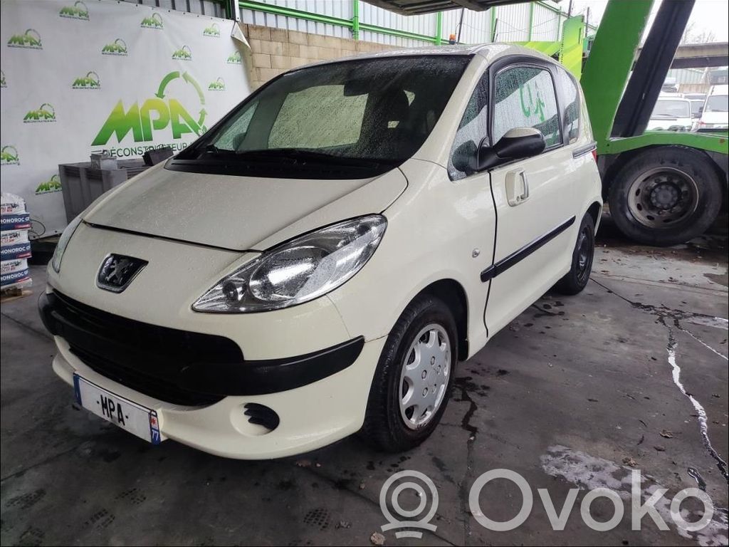 Peugeot 1007 Engine control unit/module 