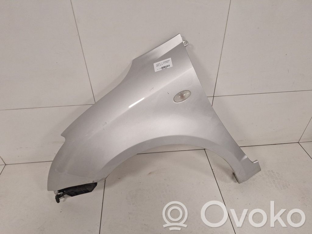 Guardabarro   5771163J20