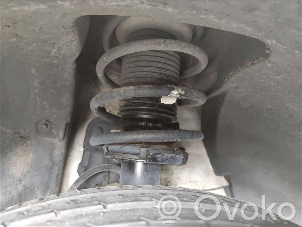 Front shock absorber with coil spring   31316786021