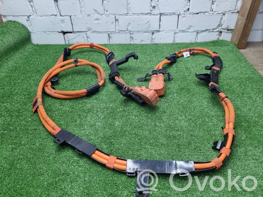 BMW X3 G01 Otros cableados 