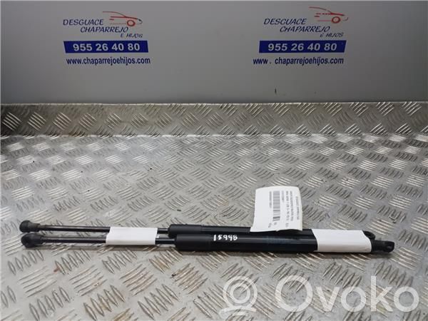 BMW 1 F20 F21 Amortiguador del maletero/compartimento de carga 