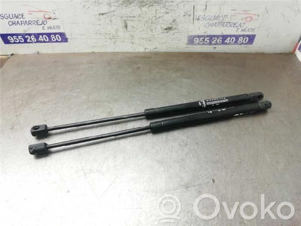 Tailgate/trunk/boot lid buffer