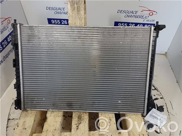 Radiator ulei motor   69703A
