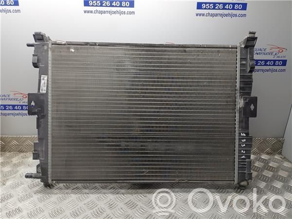 Renault Megane II Radiatore dell’olio del motore 