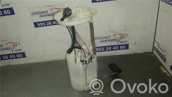 Pompa carburante immersa   5802001194,1510061M00