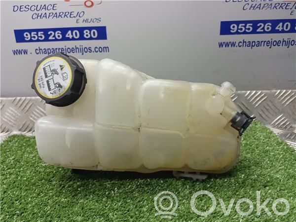 Vas expansiune combustibil   31338764