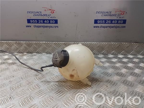 Vas expansiune combustibil   9684527680