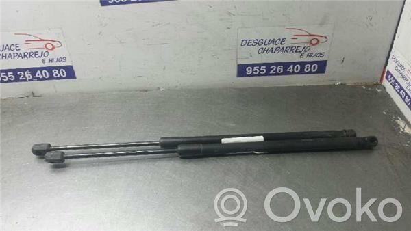 Tailgate/trunk/boot lid buffer   D65163620