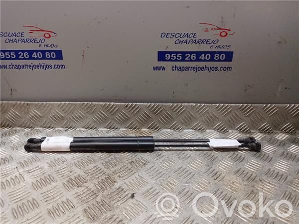 Dacia Lodgy Tampon hayon/capotă portbagaj 