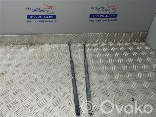 Tailgate/trunk/boot lid buffer   D65163620