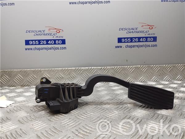 Kaasupoljin   55702020
