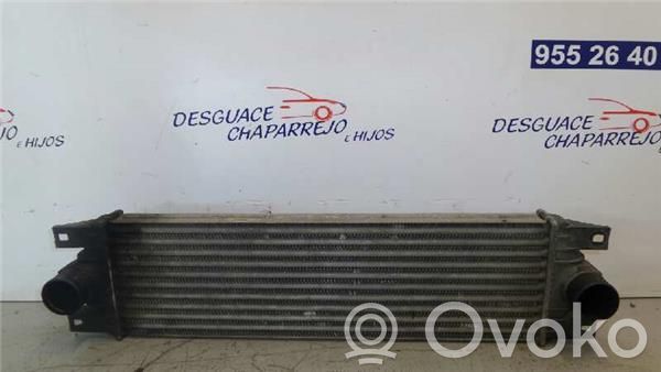 Renault Mascott Interkūlerio radiatorius 
