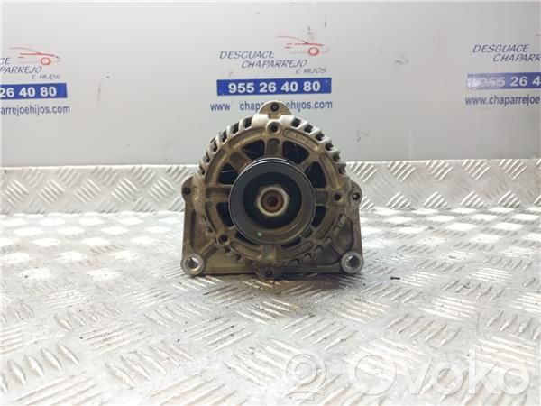 Generatore/alternatore   13502595