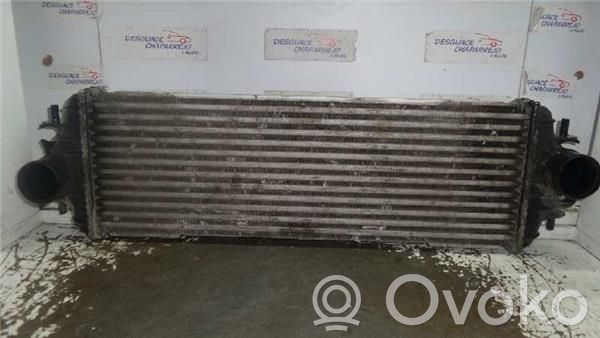 Radiatore intercooler   868926QJ,91166035