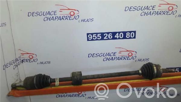 Eje delantero