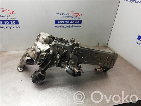Mercedes-Benz E W212 Valvola di raffreddamento EGR 
