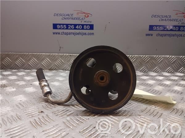 Chrysler Voyager Power steering pump 