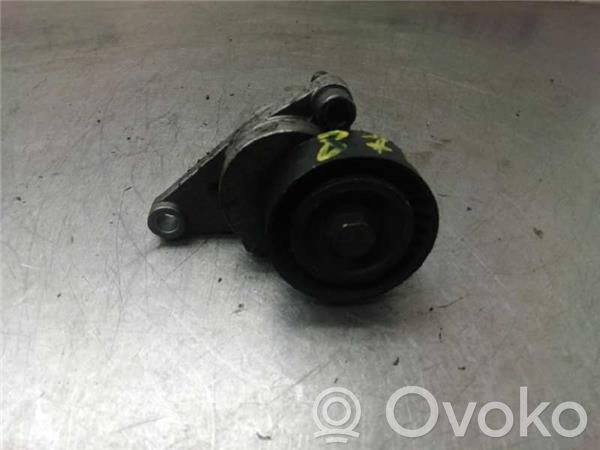 Întinzător curea generator/alternator   9652073680